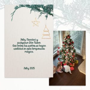 Recordatorio Navidad 01