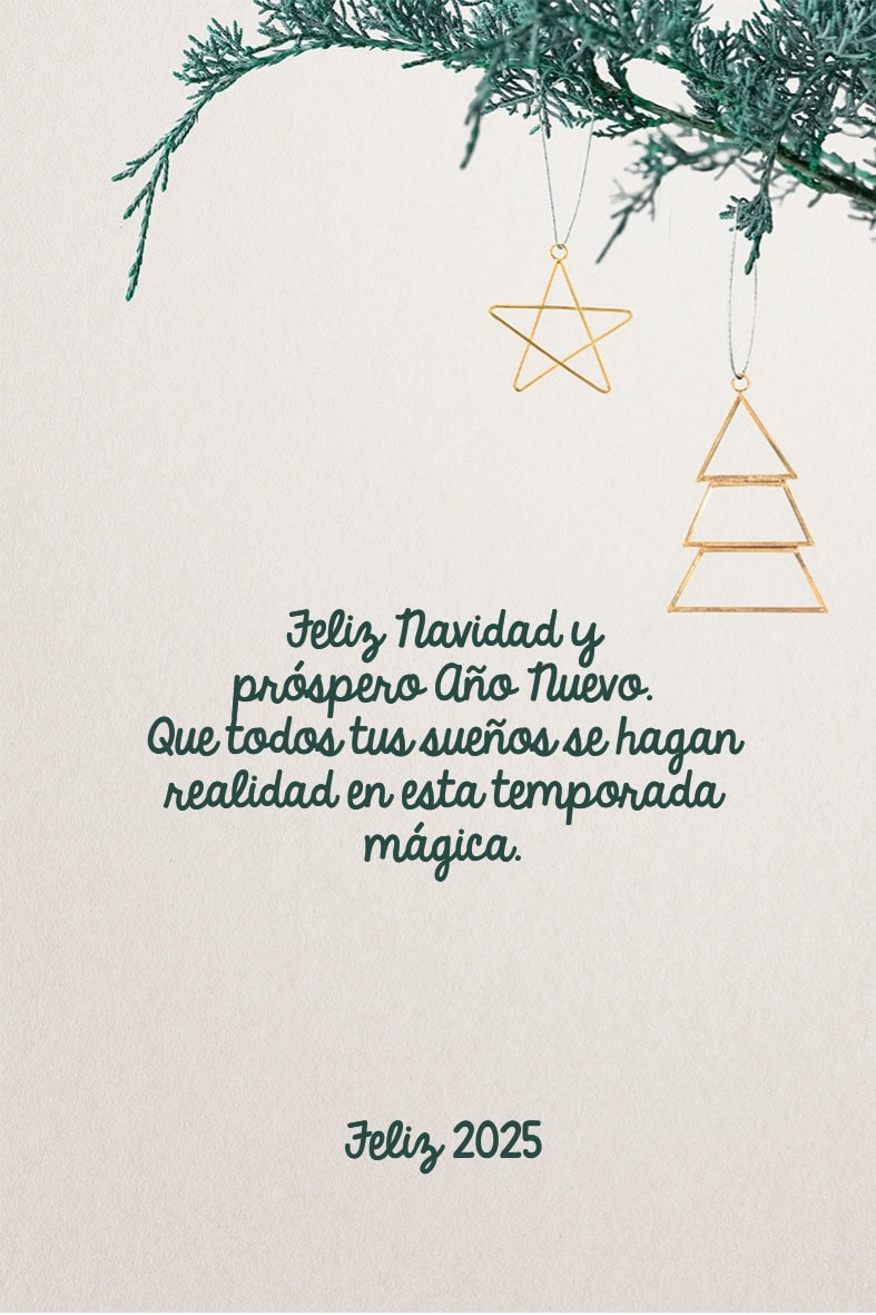 Recordatorio Navidad 01 - Imagen 2