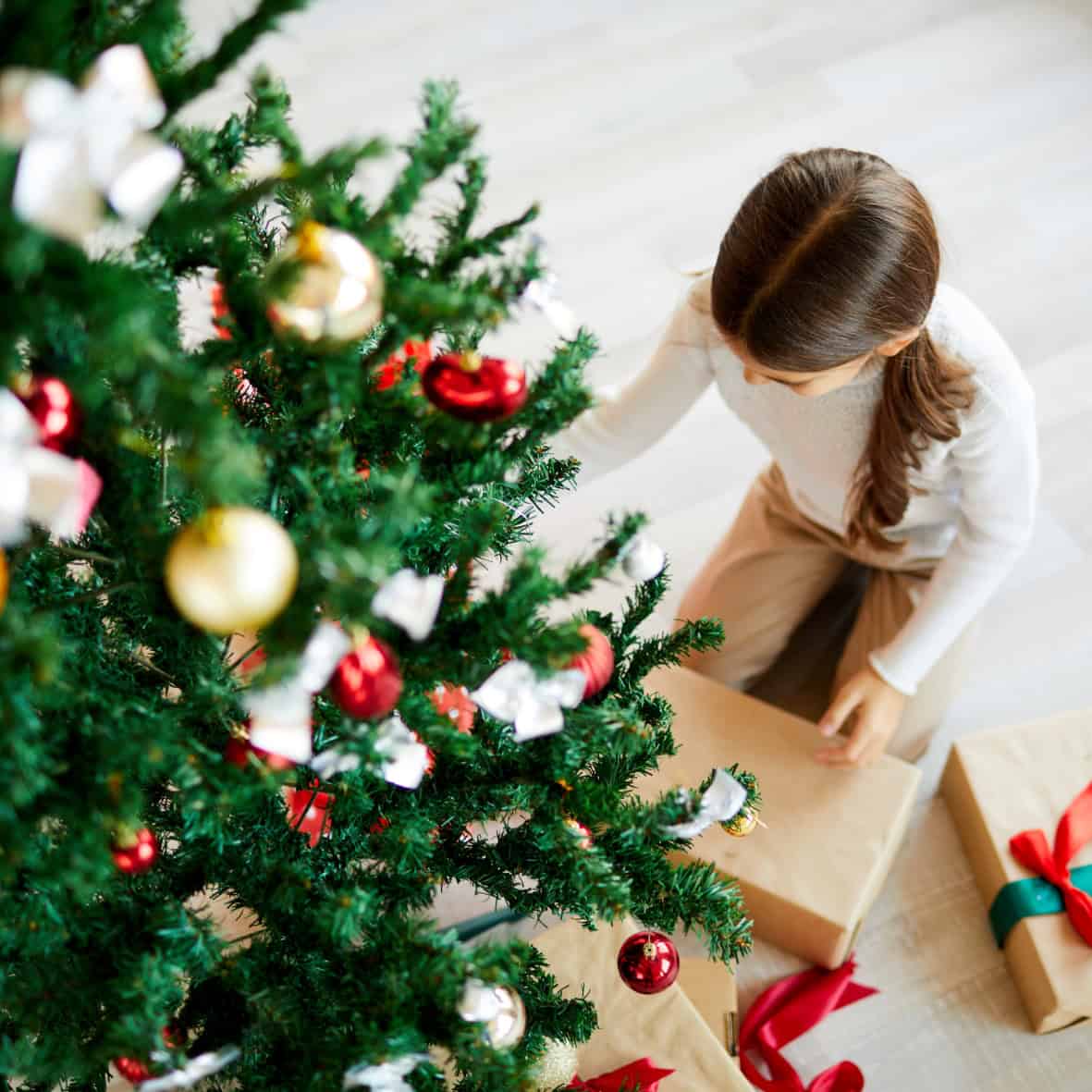 Recordatorio Navidades 03 - Imagen 3